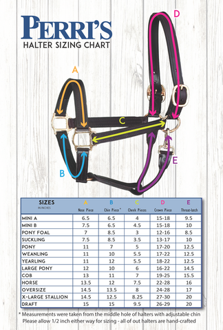 Design your own Custom Padded Leather Halter – Divine Equine & Pet Supplies